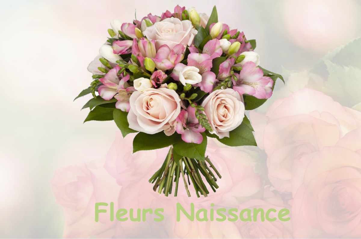 fleurs naissance BOURGOIN-JALLIEU