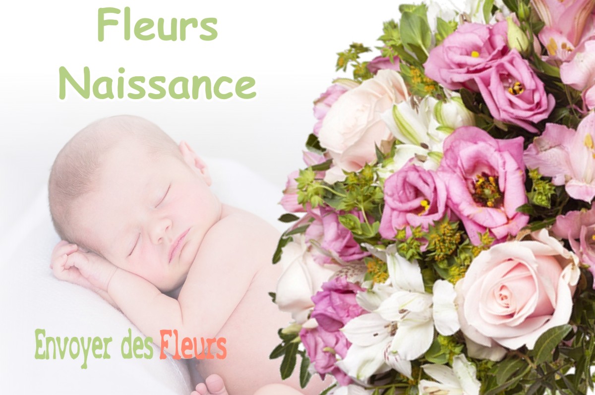 lIVRAISON FLEURS NAISSANCE à BOURGOIN-JALLIEU